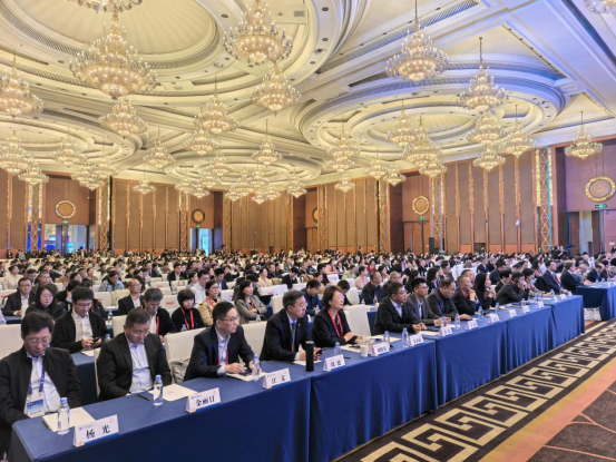 1765337021538057.jpg 2.jpg